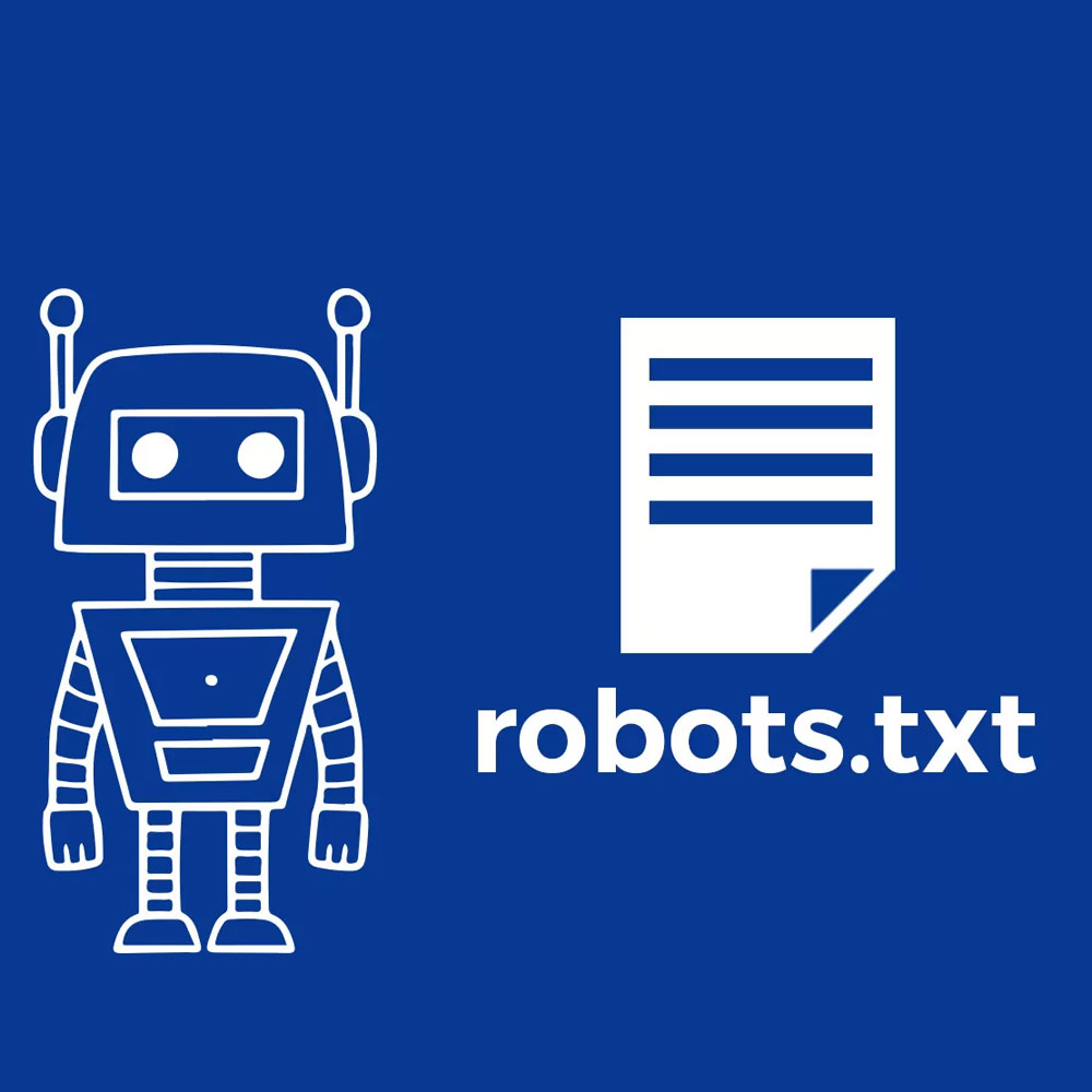 What is a robots txt file